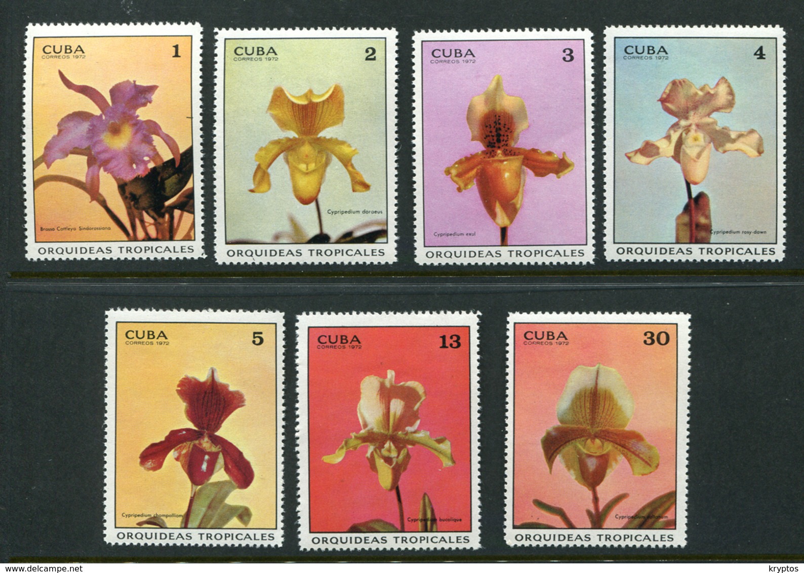 Cuba 1972. Tropical Orchids. Complete Set ** (7 Stamps) - Nuovi