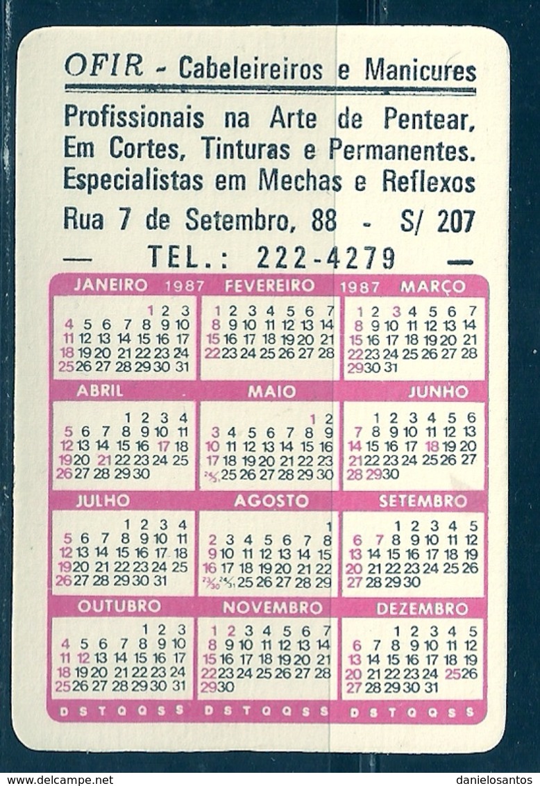 1987 Pocket Calendar Calandrier Calendario Portugal Ponte Rio Niterõi (RJ) Brasil - Grand Format : 1981-90