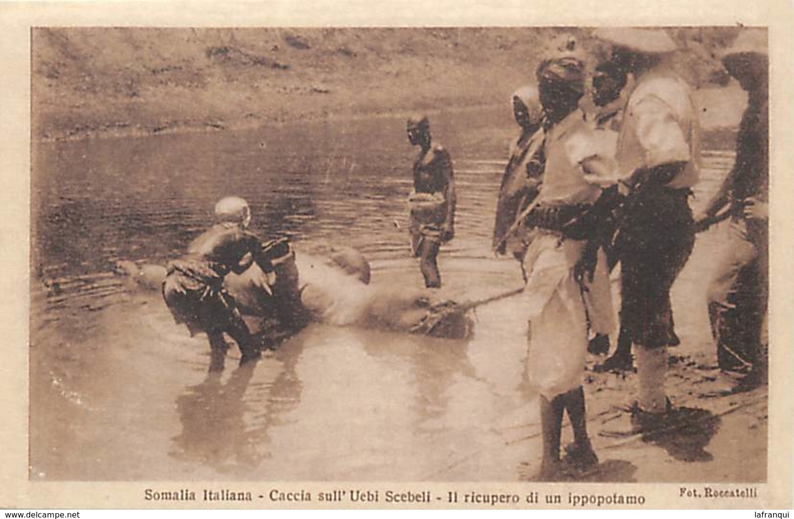 Pays Div Ref X83- Animaux - Hippopotames -hippopotame -somalia Italiana -ippopotamo  - - Hippopotamuses