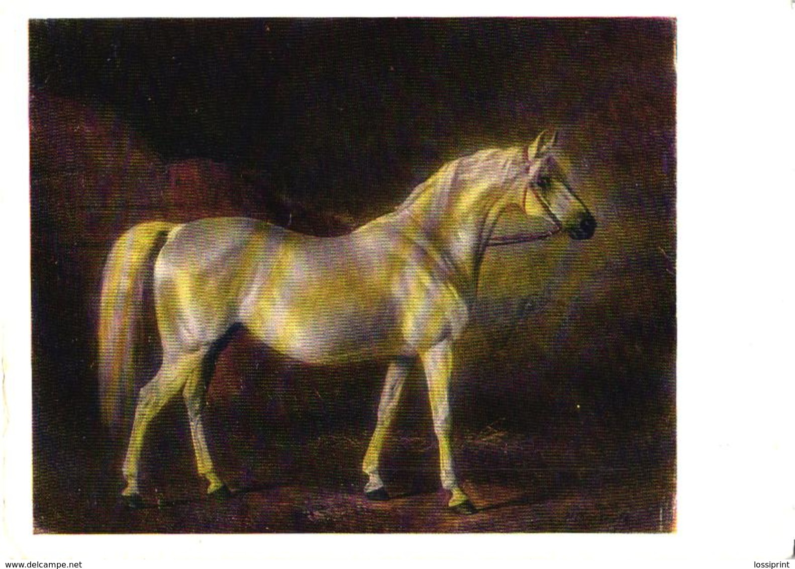 N.E.Svertskov Painting, White Horse, 1973 - Chevaux