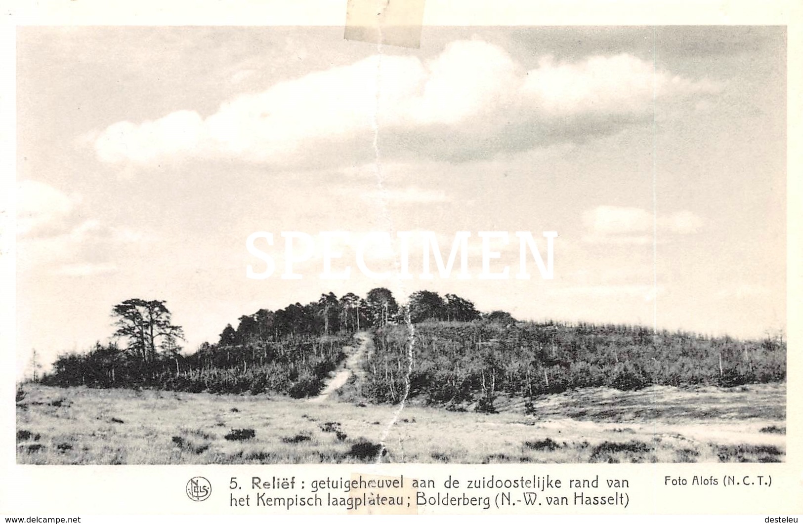 5 Reliëf Getuigeheuvel Aan De Zuidoostelijke Rand Van Het Kempisch Laagplateau - Bolderberg - Heusden-Zolder