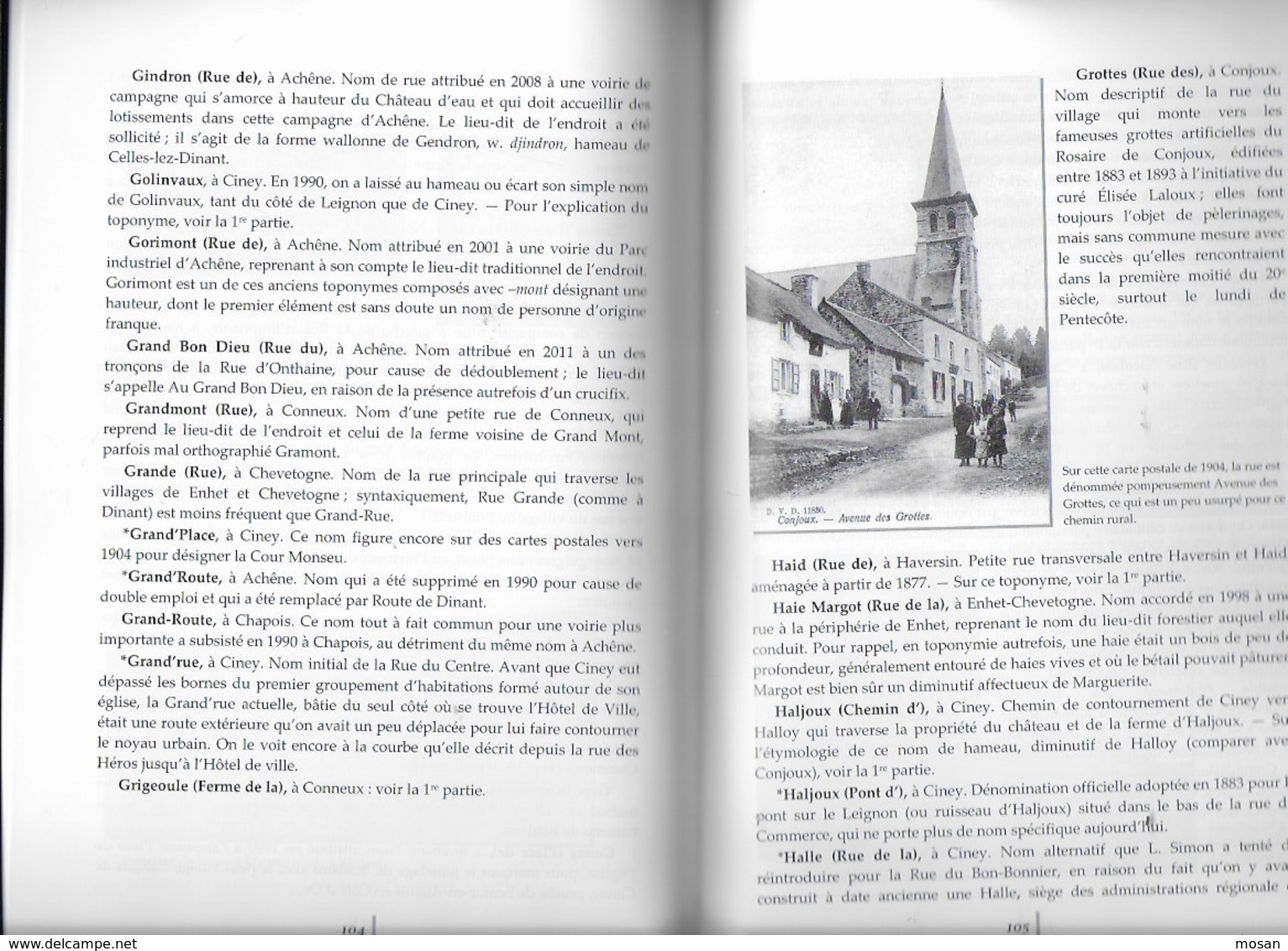 Ciney, Ville Et Villages. Noms De Lieux Et De Vieux, Noms De Rues Et De Rus. Jean Germain. Chevetogne, Ronvaux Enhet, - Belgique