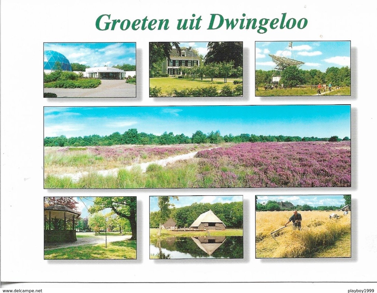 Pays-Bas - Drenthe - GROETEN UIT DWINGELOO - 7 Vues -  Cpm - Vierge - - Dwingeloo