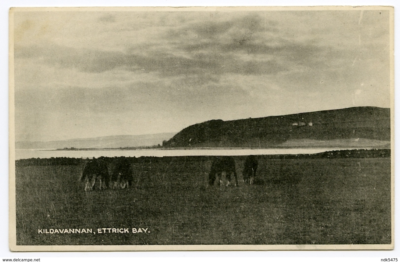 ISLE OF BUTE : ETTRICK BAY - KILDAVANNAN - Bute