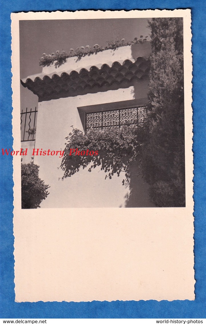 CPA Photo - ANTIBES - Route De La Badine - Villa " Neptune " - Fenêtre - Architecture - Autres & Non Classés
