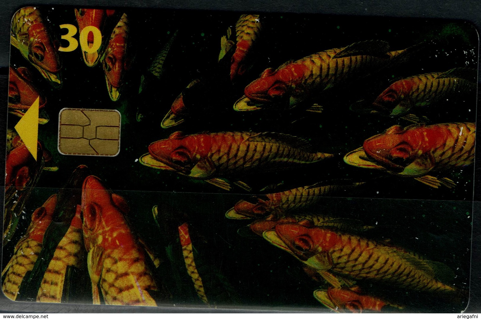 DENMARK 1998 PHONECARD FISHES USED VF!! - Dauphins