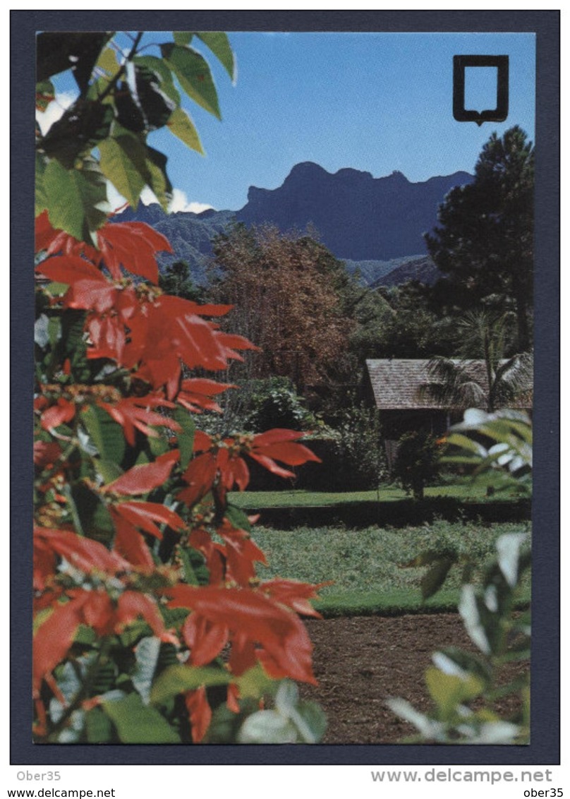 La Réunion Cirque De Cilaos - Réunion