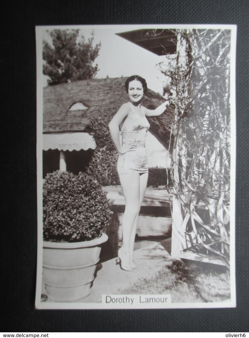 REAL PHOTO - PIN UP (V2004) DOROTHY LAMOUR (2 Vues) N°35 BEAUTIES OF TO-DAY Fourth Series - Phillips / BDV