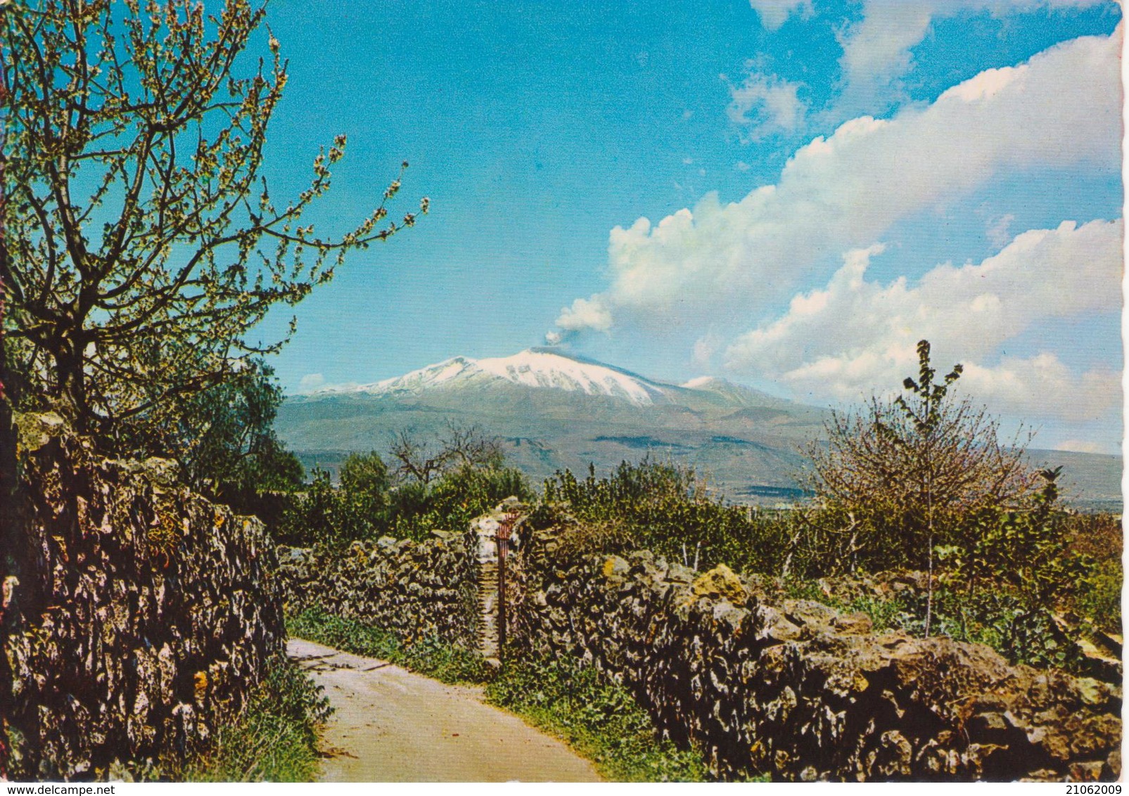 ETNA - ESPLOSIONE DELL'ETNA - ORE 9:20 DEL 7 APRILE 1964 - NON VIAGGIATA - Altri & Non Classificati