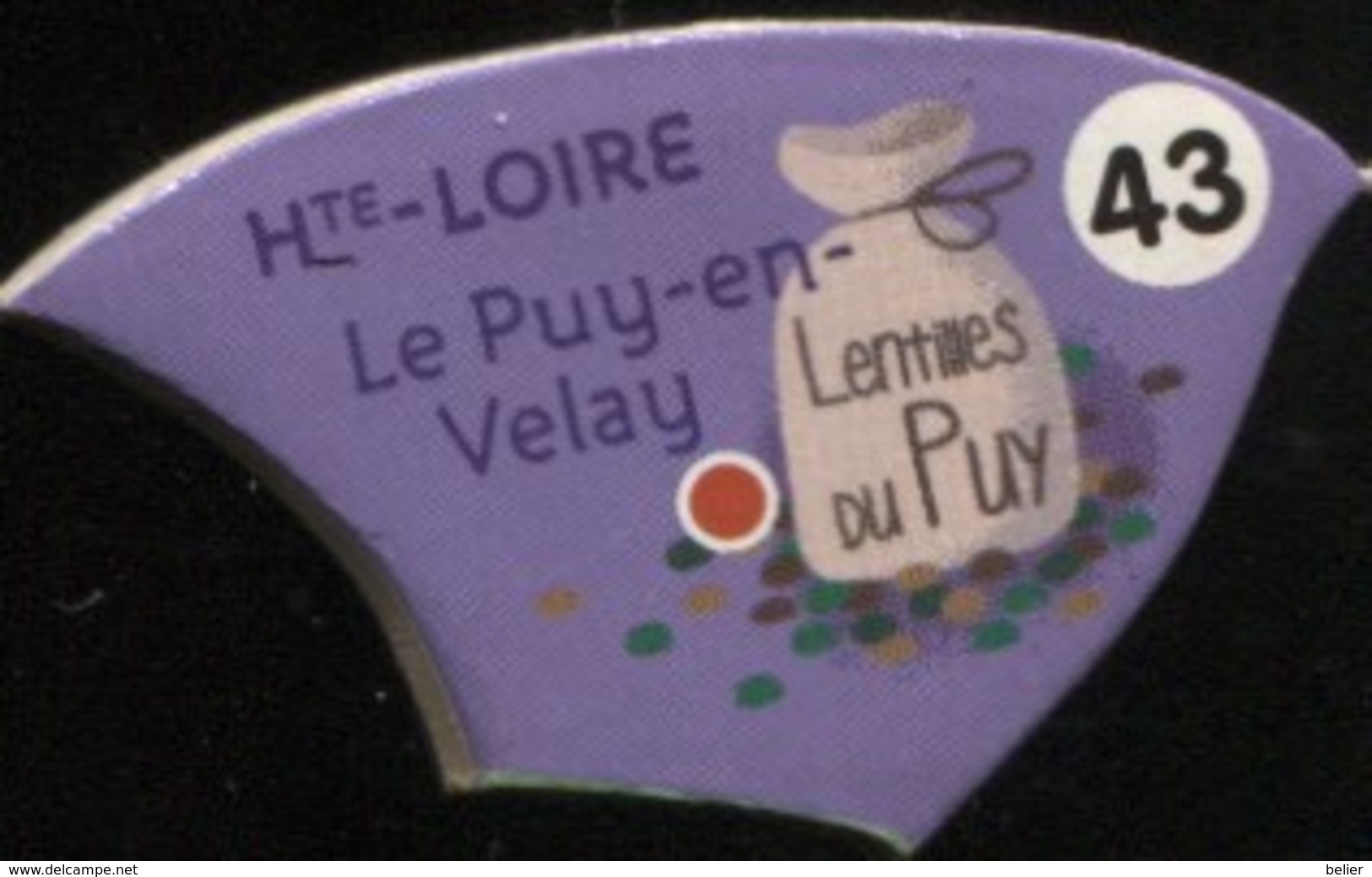 MAGNET HTE-LOIRE LE PUY-EN-VELAY N° 43 - Magnets