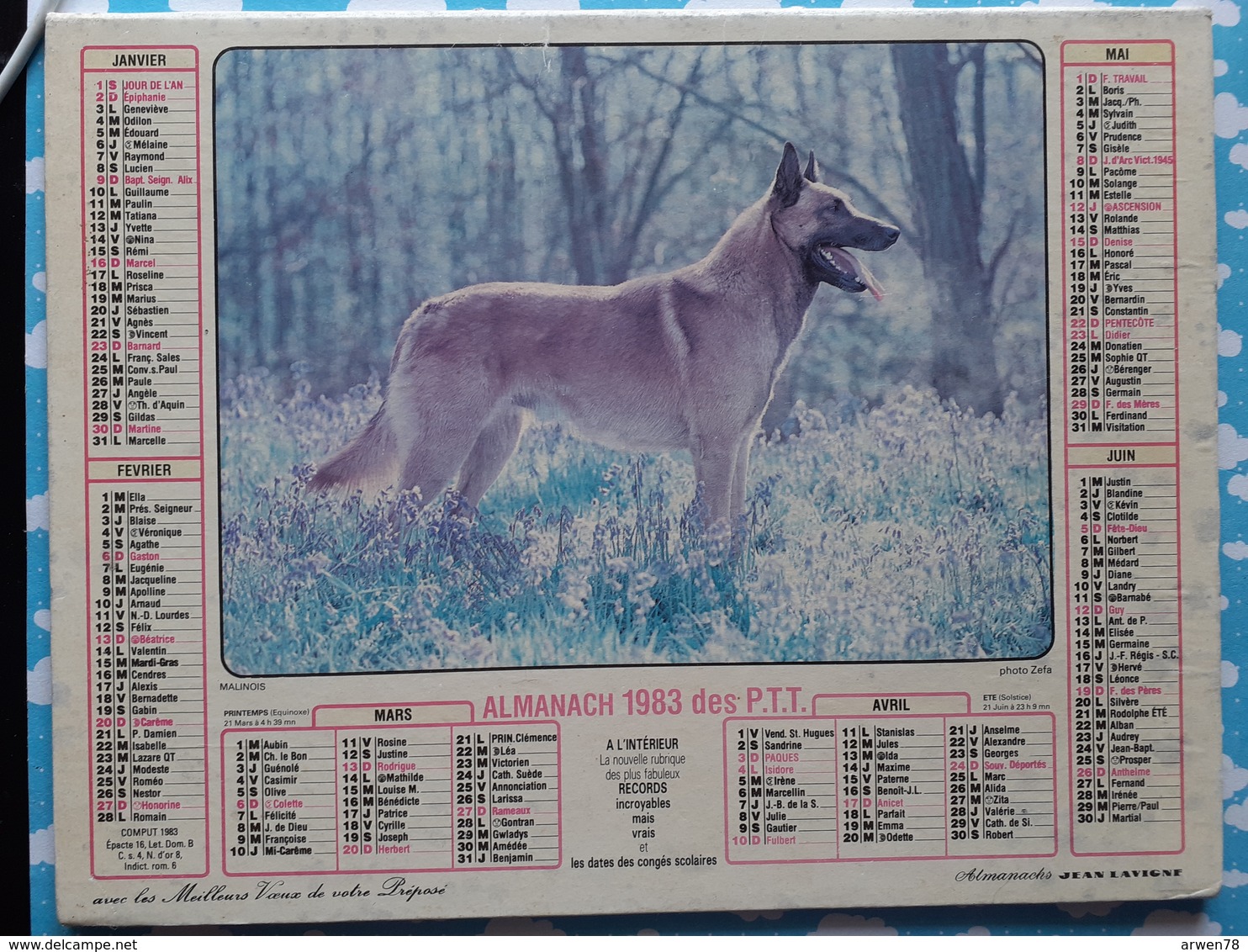 CALENDRIER DU FACTEUR ALMANACH CHIEN MALINOIS SETTER IRLANDAIS 1983 - Grand Format : 1991-00