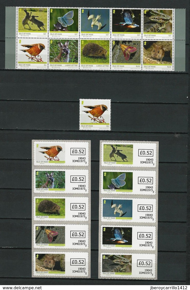 EUROPA 2019 - OISEAUX NATIONAUX- "AVES - BIRDS -VÖGEL -OISEAUX"-COLLECTION TRÈS COMPLÈTE- 160 TIMBRES + 34 FEUILLES BLOC