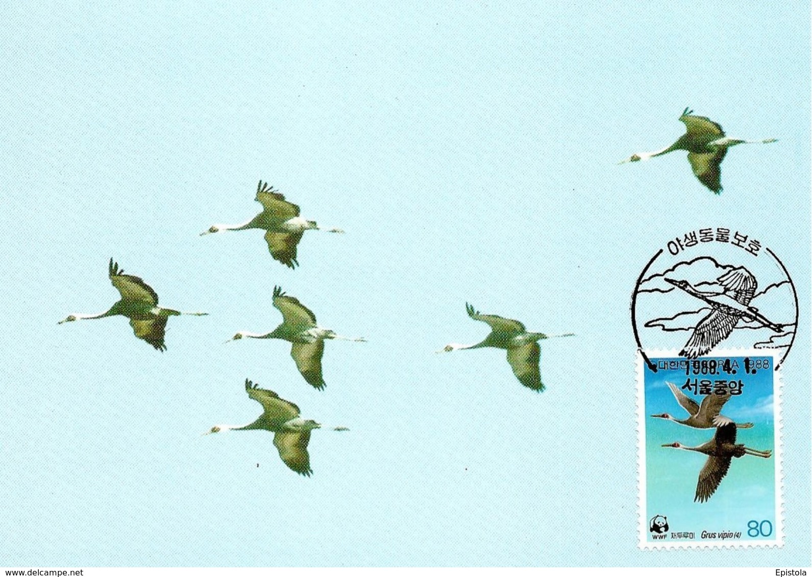 Oiseaux (White-naped Crane) Birds KOREA Animals Aves Faune Fauna Carte Maximum Card WWF - Corea Del Sur