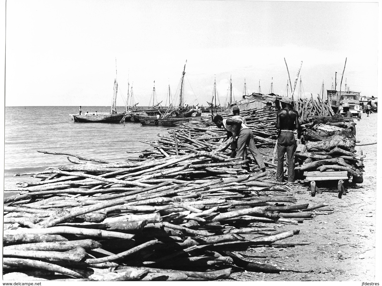 Photo Haiti Provisions De Bois De Chauffage Déchargée Près Des Bidonvilles Photo Vivant Univers - Lieux