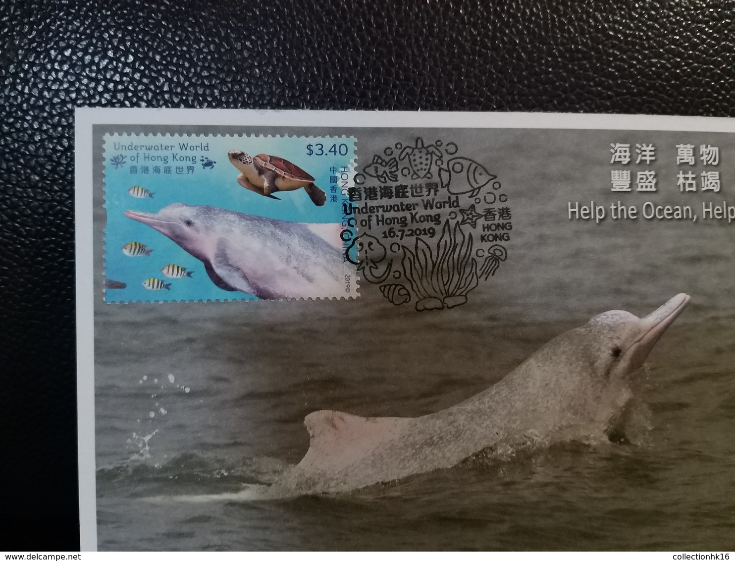 Chinese White Dolphin 2019 Underwater World Of Hong Kong OPCF Postcard Type A - Maximumkarten