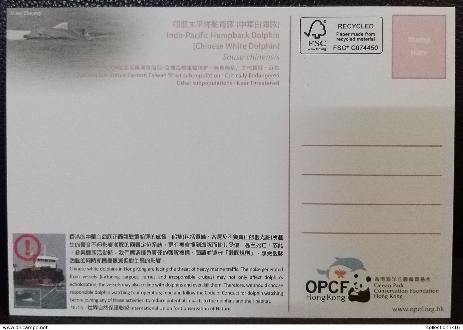 Chinese White Dolphin 2019 Underwater World Of Hong Kong OPCF Postcard Type A - Cartes-maximum