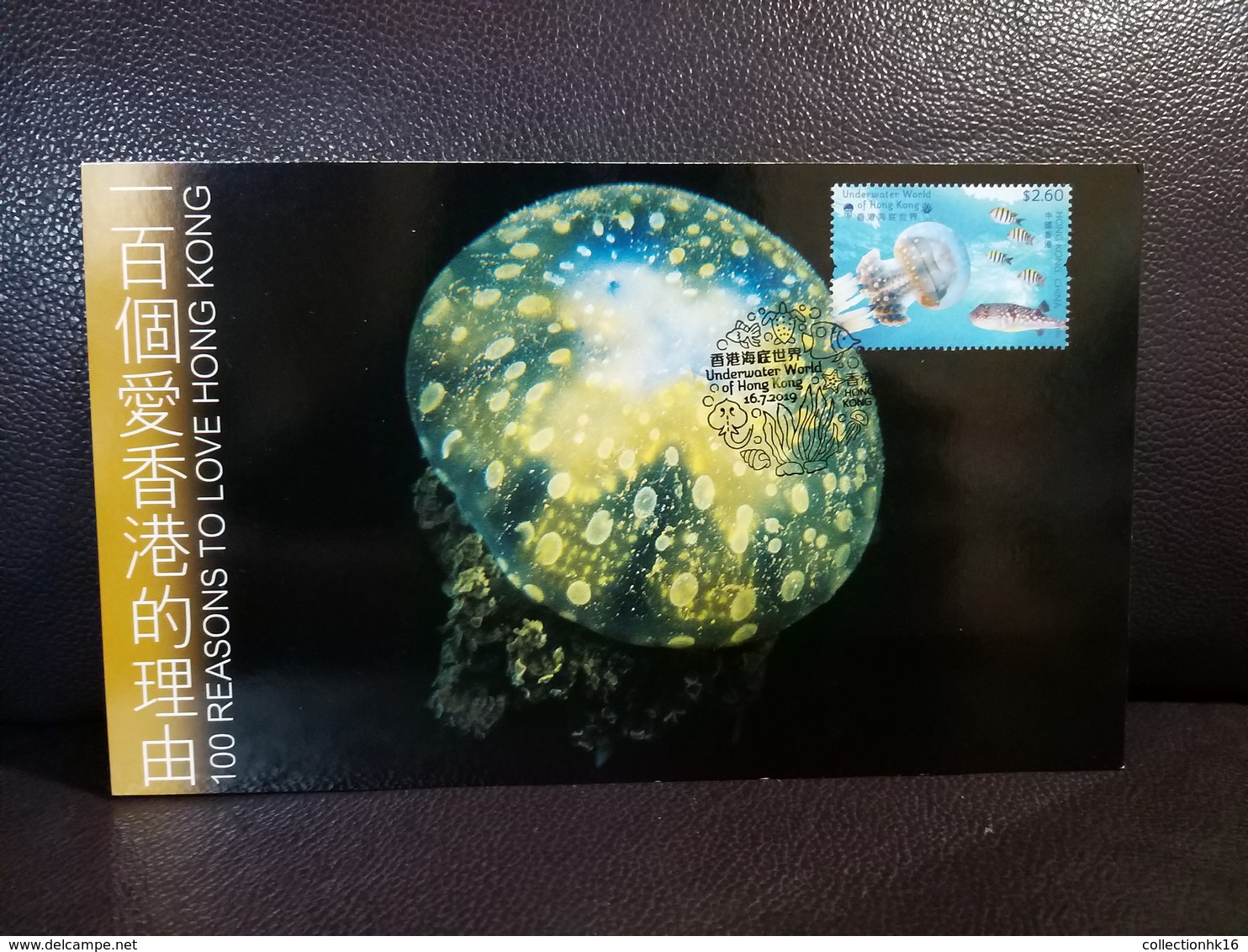 Papuan Jellyfish Maximum Card 2019 Underwater World Of Hong Kong Type B - Cartoline Maximum