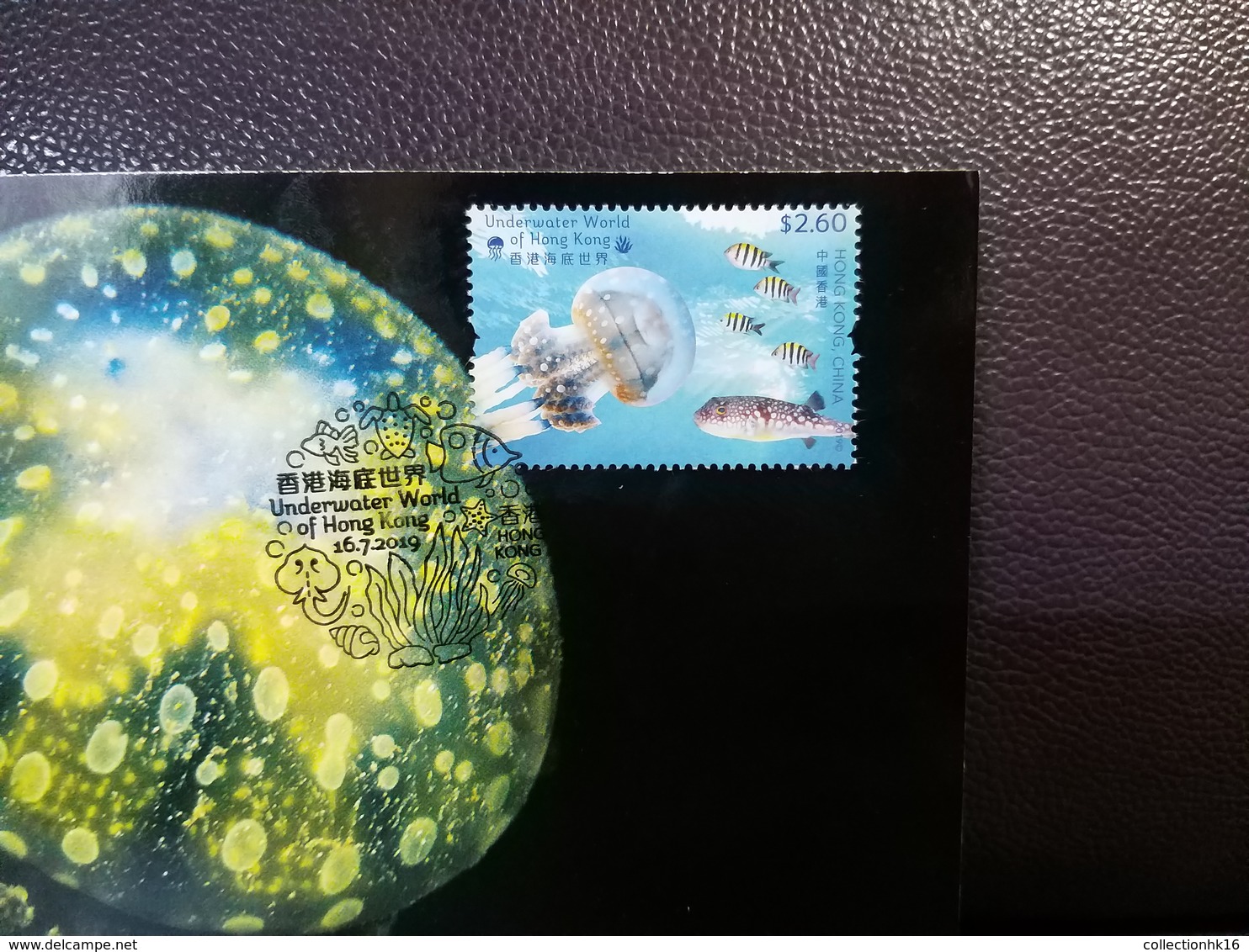 Papuan Jellyfish Maximum Card 2019 Underwater World Of Hong Kong Type B - Maximumkaarten