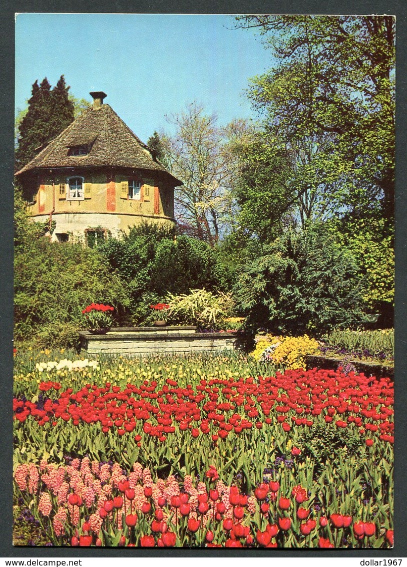 Mainau Island Bodensee- Konstanz - Baden-Württemberg  - NOT   Used  - See The 2 Scans For Condition( Originaal) - Albstadt