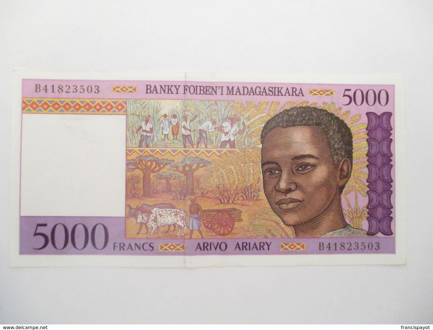 Madagascar: 5000 Francs 1995 - Madagascar