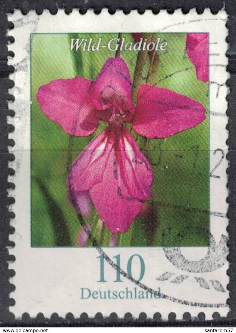 Allemagne 2019 Oblitéré Used Fleurs Wild Gladiole Glaïeul Sauvage SU - Oblitérés