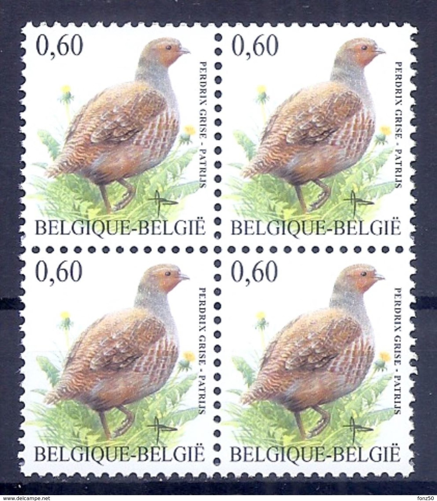 BELGIE * Buzin * Nr 3381 * Postfris Xx * HELDER FLUOR  PAPIER - 1985-.. Birds (Buzin)