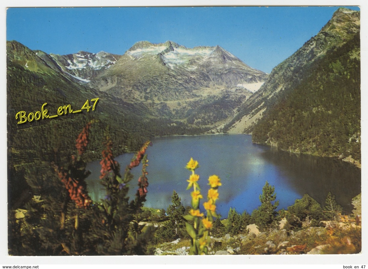 {38445} 65 Hautes Pyrénées En Haute Vallée D' Aure , Le Lac D' Orédon , Le Massif D' Estaragne ; Fleurs Pyrénéennes - Aragnouet