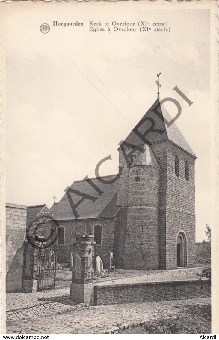 Postkaart-Carte Postale HOEGAARDEN Kerk Te Overloor   (B248) - Hoegaarden