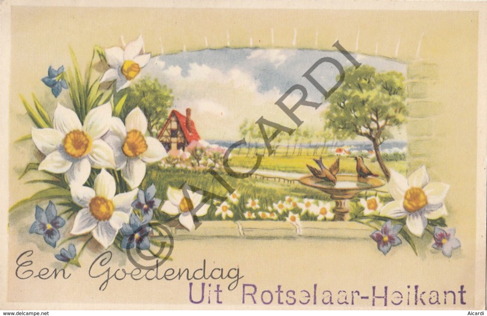 Postkaart-Carte Postale ROTSELAAR-Heikant Een Goedendag  (B354) - Rotselaar