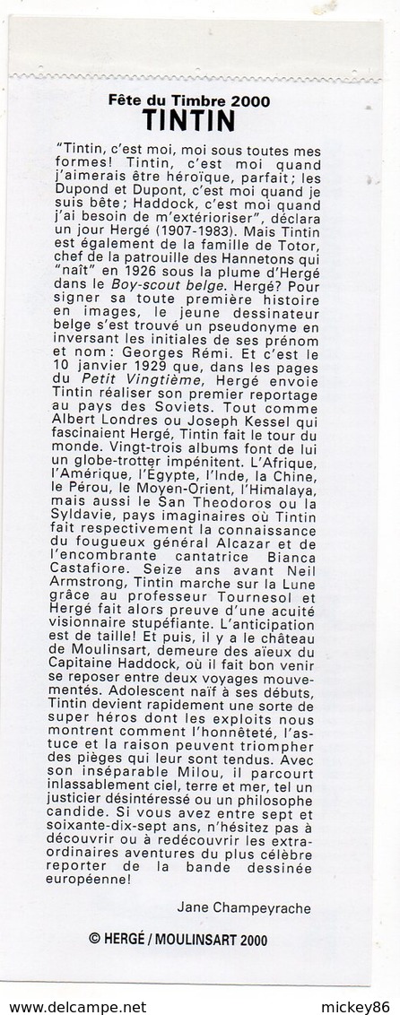 2000 --Fête De Timbre ---Non Pliée -- Couverture VIDE  De Timbres TINTIN .....  .....à Saisir - Other & Unclassified