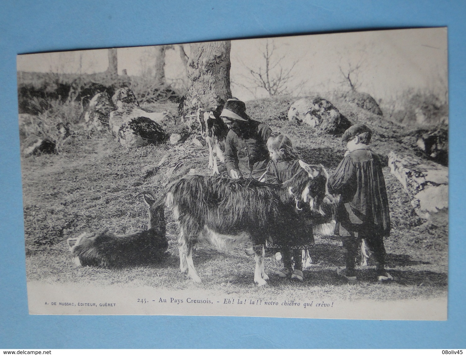 AU PAYS CREUSOIS -- Chèvres à Poils Longs - " Eh ! La ! La ! Notro Chiébro Qué Crévo "- ANIMEE - Cpa "précurseur" 1903 - Breeding