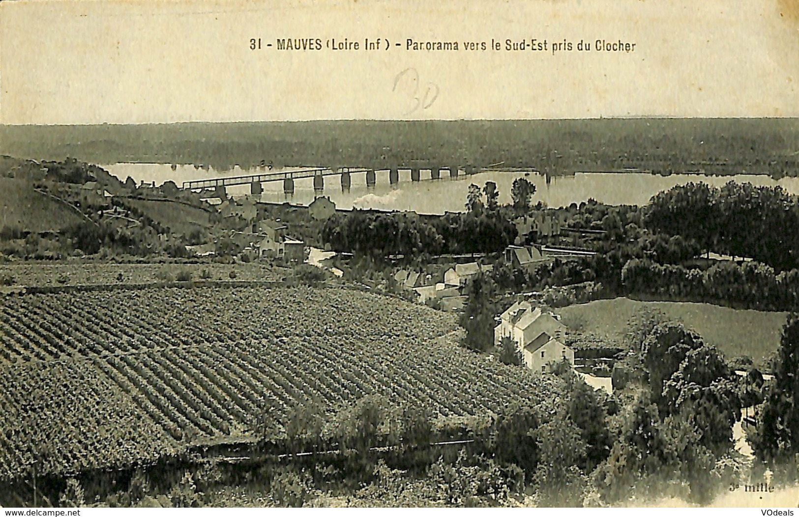 CPA - France - (44) Loire Atlantique - Mauves - Panorama Vers Le Sud-Est - Mauves-sur-Loire