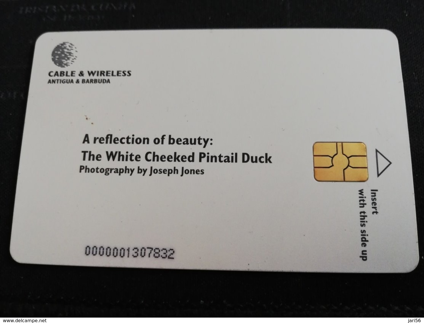 ANTIGUA  $20,- CHIPCARD WHITE CHEEKED PINTAIL  DUCK   Fine Used Card  ** 430 ** - Antigua U. Barbuda