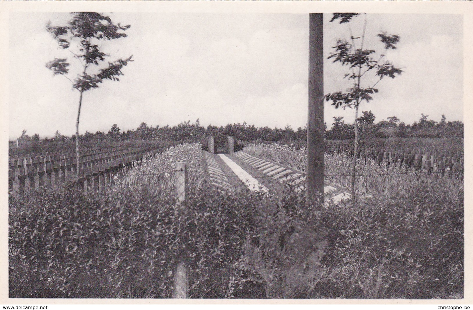 Zillebeke, Duitsch Krijgskerkhof, Deutscher Kriegerfriedhof (pk68698) - Ieper