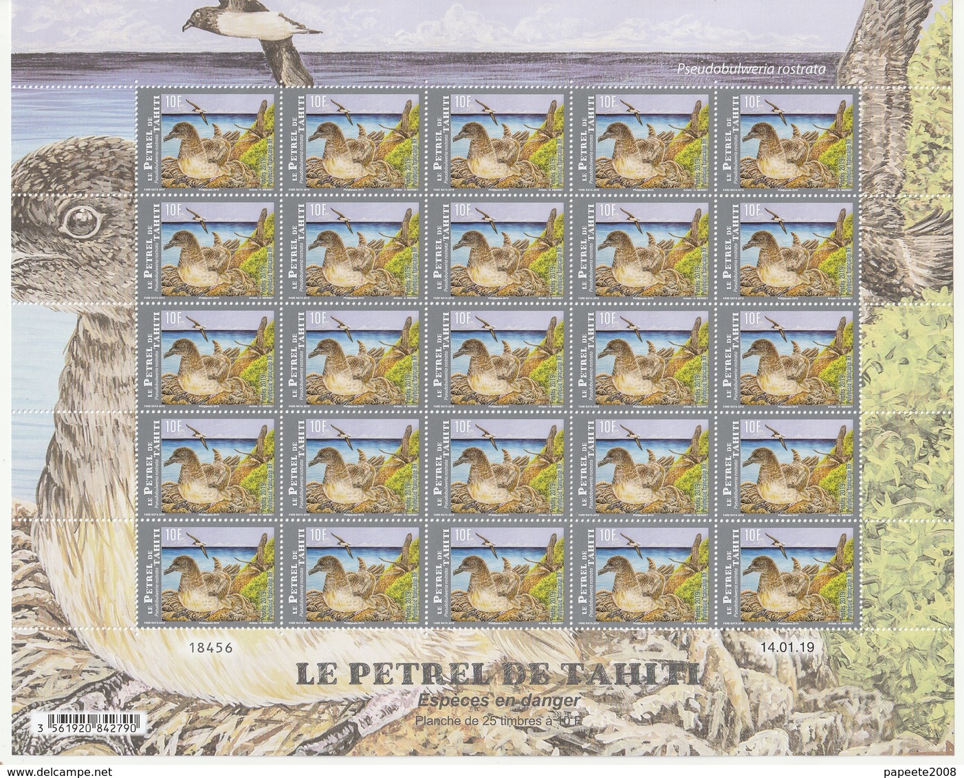 Polynésie Française / Tahiti - Planche/Feuille De 25 Timbres Neufs / 10 F / 14-01-2019 / Le Pétrel De Tahiti - Neufs