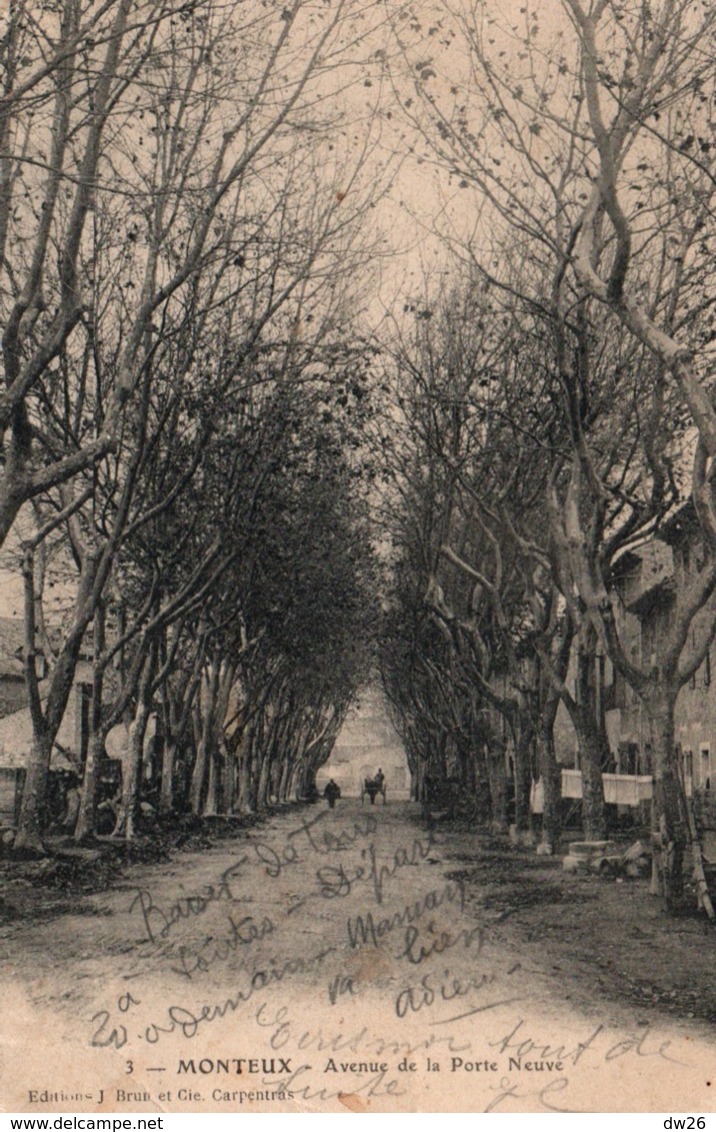 Monteux (Vaucluse) Avenue De La Porte Neuve - Editions J. Brun Et Cie, Carte N° 3 - Monteux
