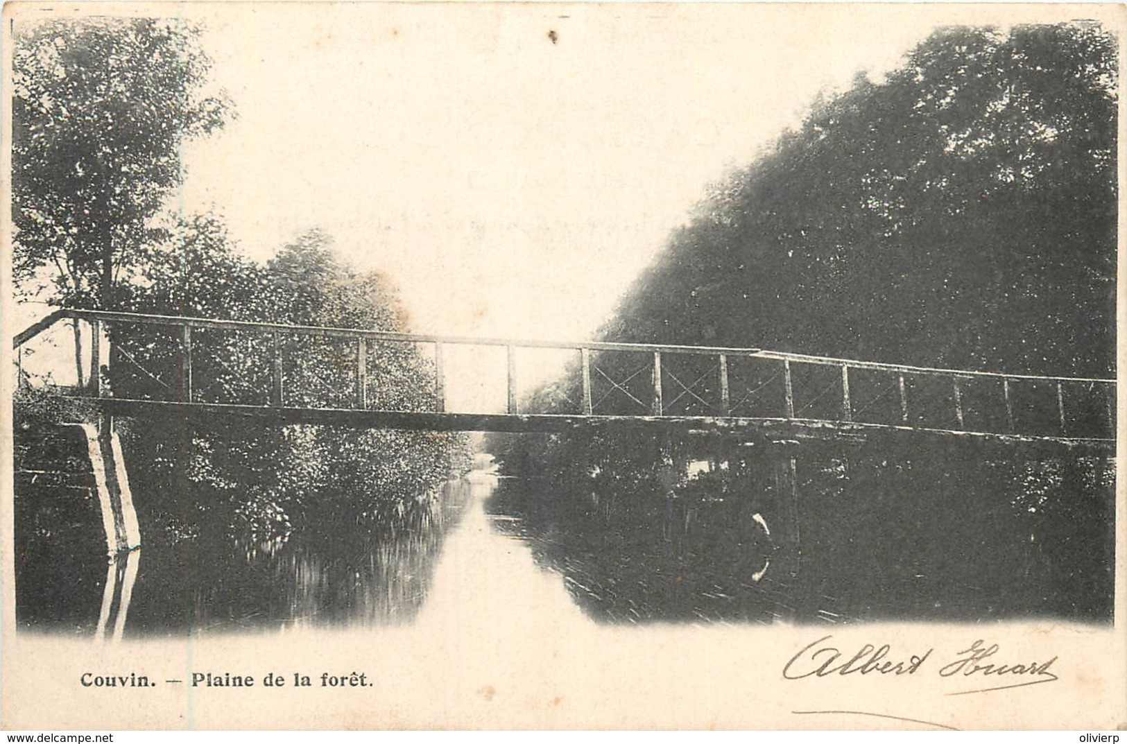 Belgique - Couvin - Plaine De La Forêt - Un Petit Trou D' épingle - Couvin