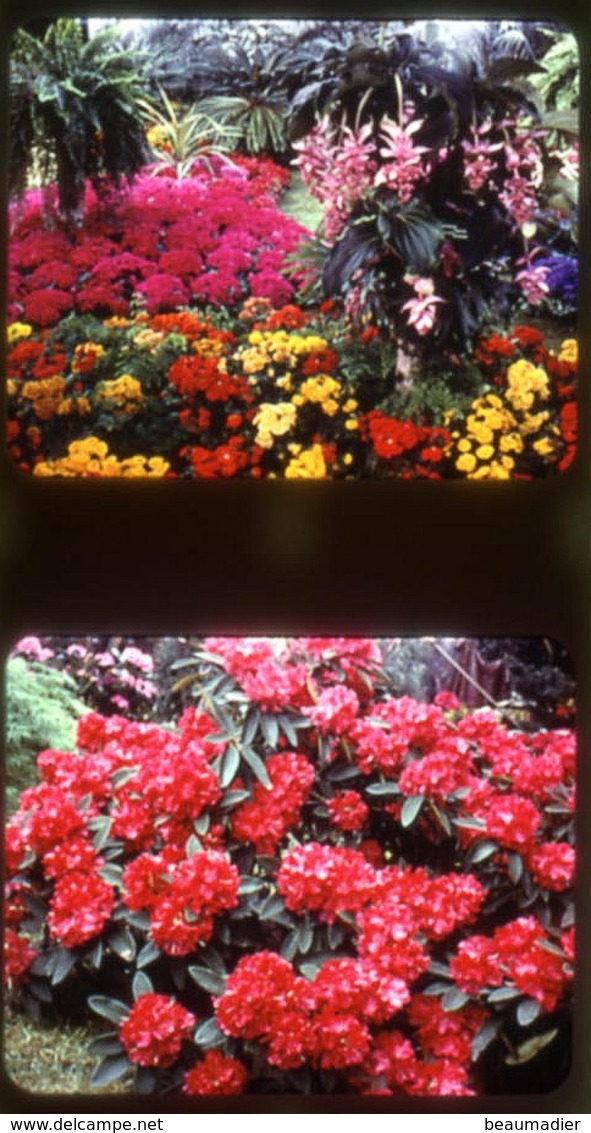 Lestrade Parc Floral D' Orléans N°2 Réf 652 - Stereo-Photographie