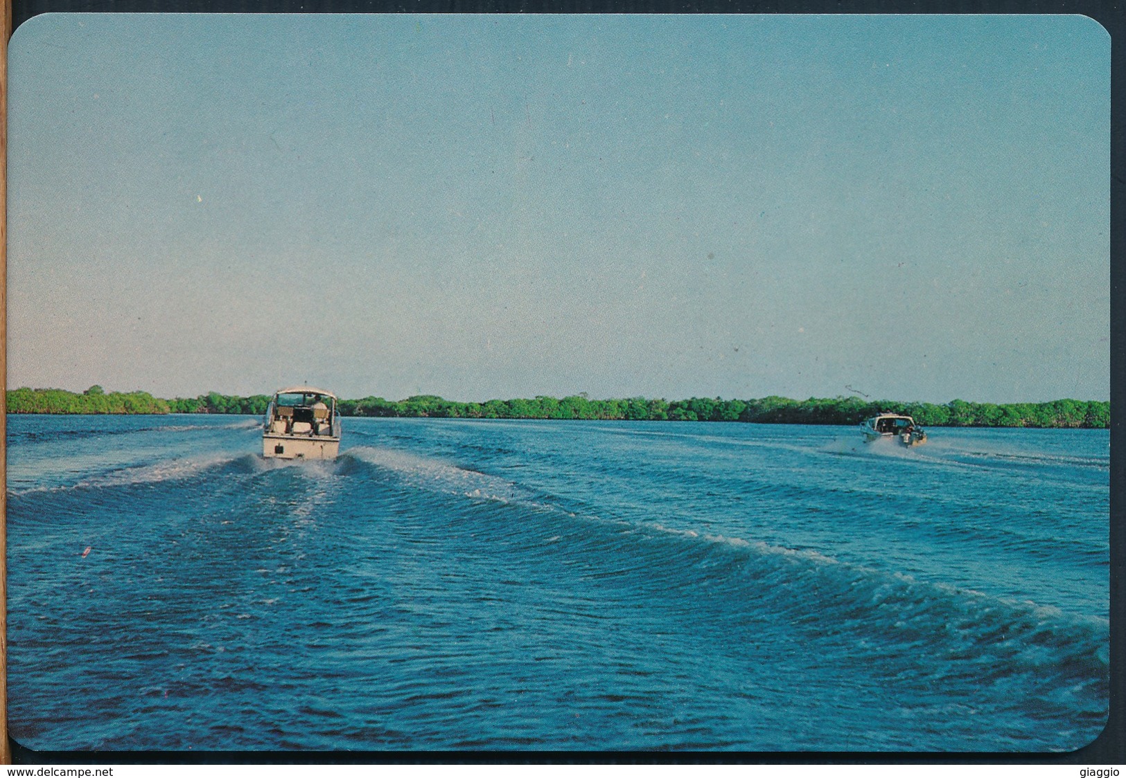 °°° 19204 - VENEZUELA - MORROCOY - CANO GRANDE °°° - Venezuela