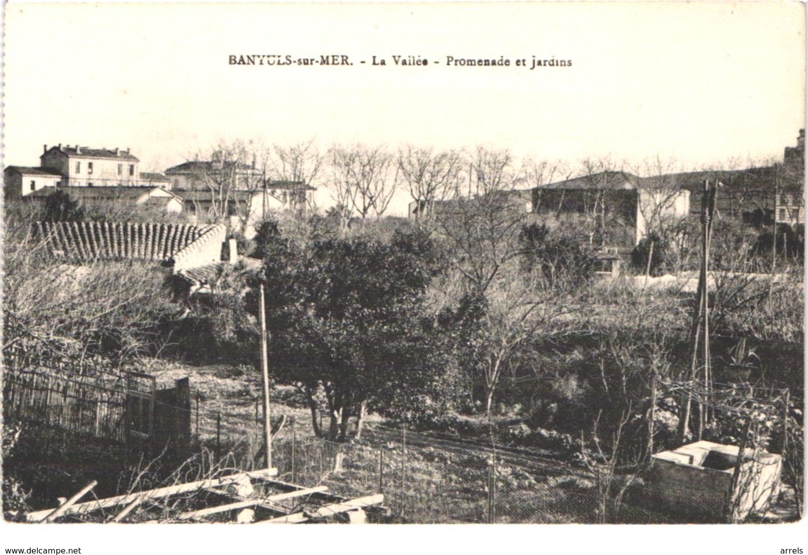 FR66 BANYULS SUR MER - La Vallée - Promenade Et Jardins - Belle - Banyuls Sur Mer