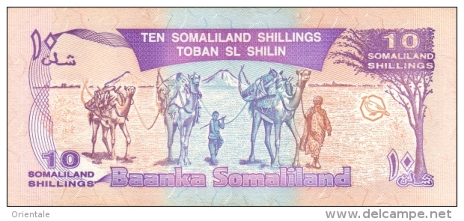 SOMALILAND P.  2b 10 S 1996 UNC - Autres - Afrique