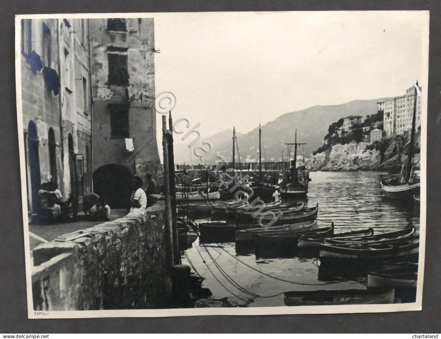 Fotografia D'epoca - Camogli - Veduta Parziale Con Barche Ormeggiate - 1930 Ca. - Altri & Non Classificati