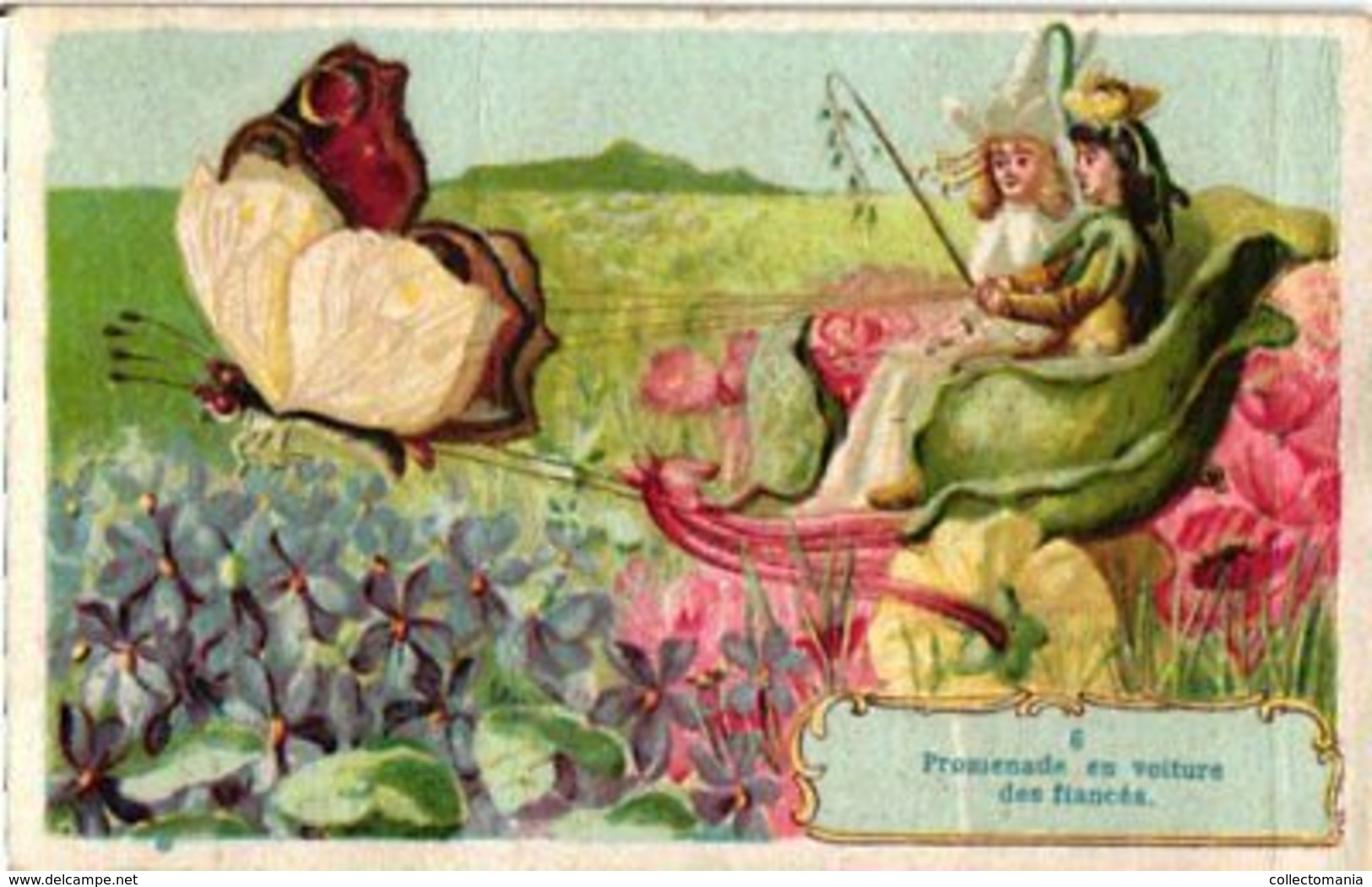 12 cartes, complete série chromos Mariage  des Fleurs Engage Fiancé grasshopper Papillon  Anthropomorph c1900 Litho RARE