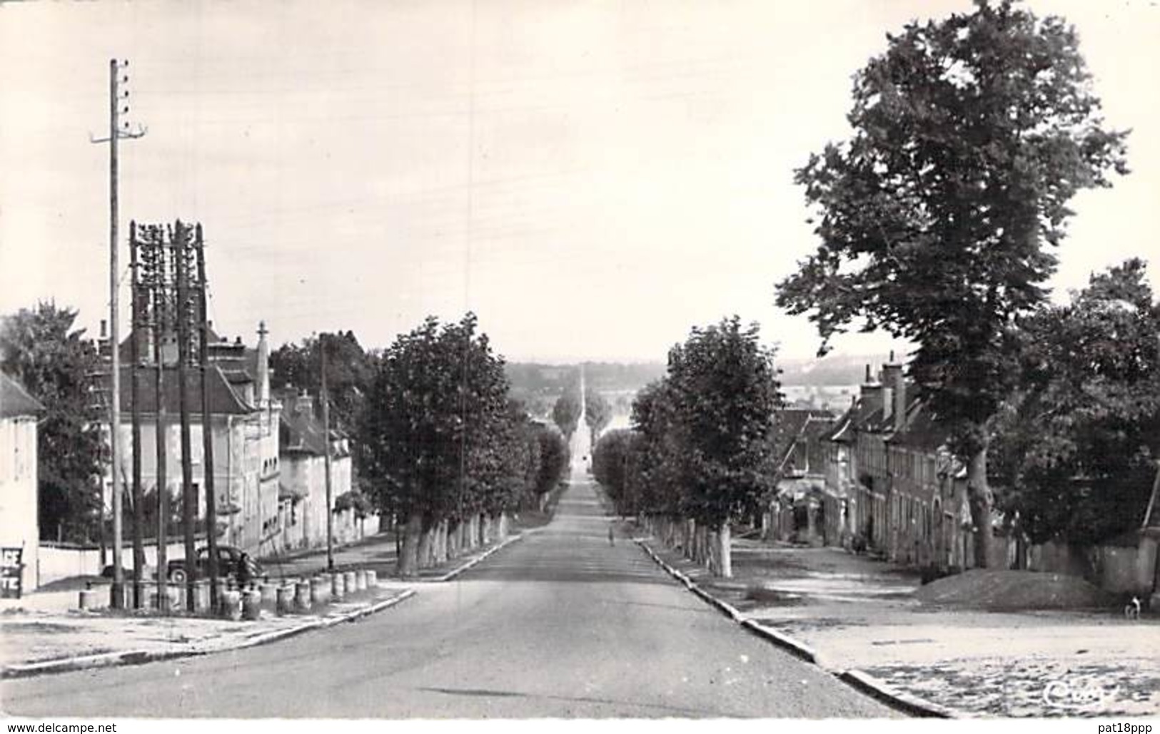 89 - SEIGNELAY : L'Avenue Colbert - CPSM Village ( 1.590 Habitants ) Dentelée Noir Blanc Format CPA Postée 1960 - Yonne - Seignelay