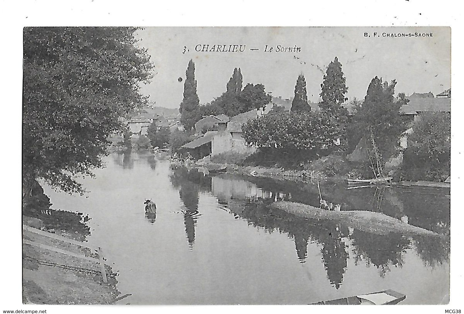 42  -  CPA  De  CHARLIEU  -  Laveuses  Et  Vaches  ,  Le  Sornin  En  1907 - Charlieu