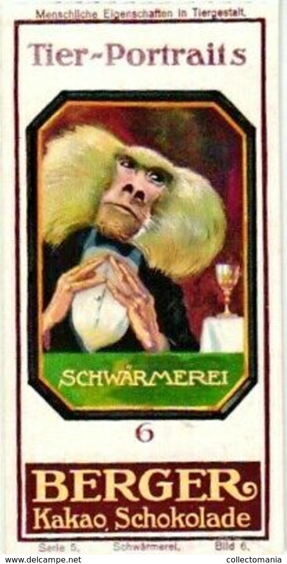 6 Trade Cards Dressed Animals C1900 Anthropomorphic Pub.Schokolade Berger Litho Schokolade Berger Dog Chimp - Autres & Non Classés