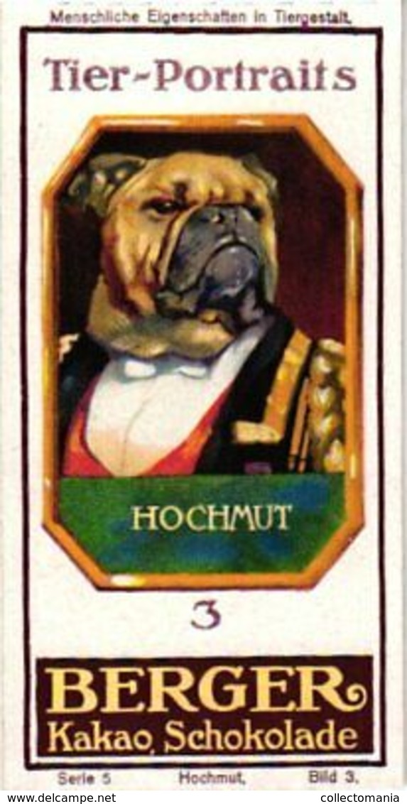 6 Trade Cards Dressed Animals C1900 Anthropomorphic Pub.Schokolade Berger Litho Schokolade Berger Dog Chimp - Autres & Non Classés