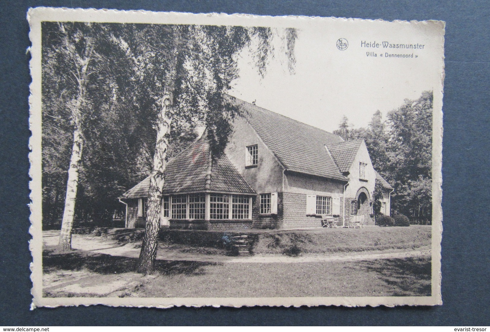 Carte Postale Heide Waamunster Villa Dennenoord Lusthof Lekkerbek Cafe De Maere Hamme - Waasmunster