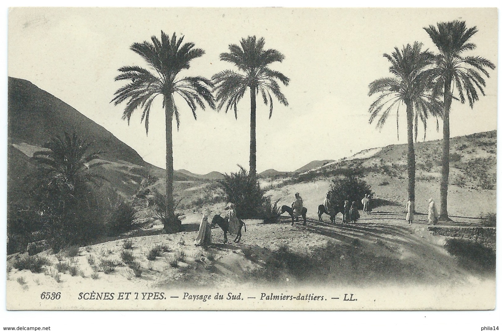 CPA ALGERIE / PAYSAGE DU SUD PALMIERS DATTIERS / NEUVE - Women