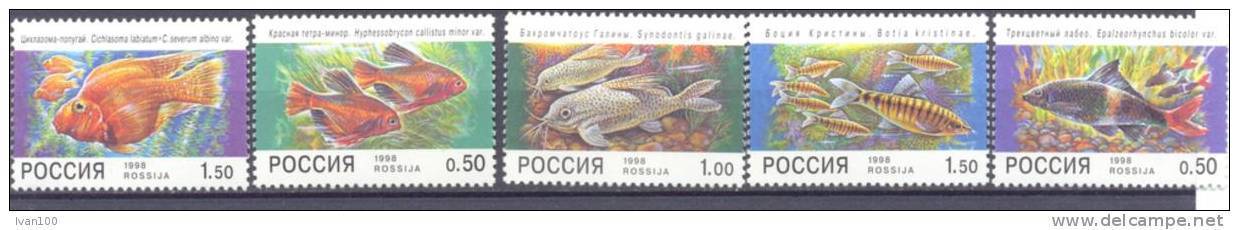 1998. Russia, Fishes, 5v Mint/** - Nuovi